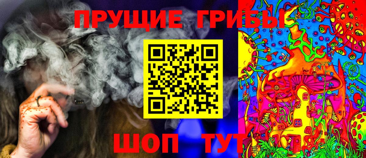 Псилоцибиновые грибы мицелий Можга