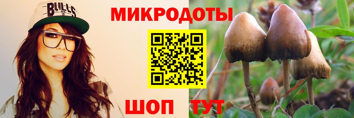 Псилоцибиновые грибы прущие грибы  Галлюциногенные грибы мицелий  Можга  как найти наркотики  Вход с VPN 